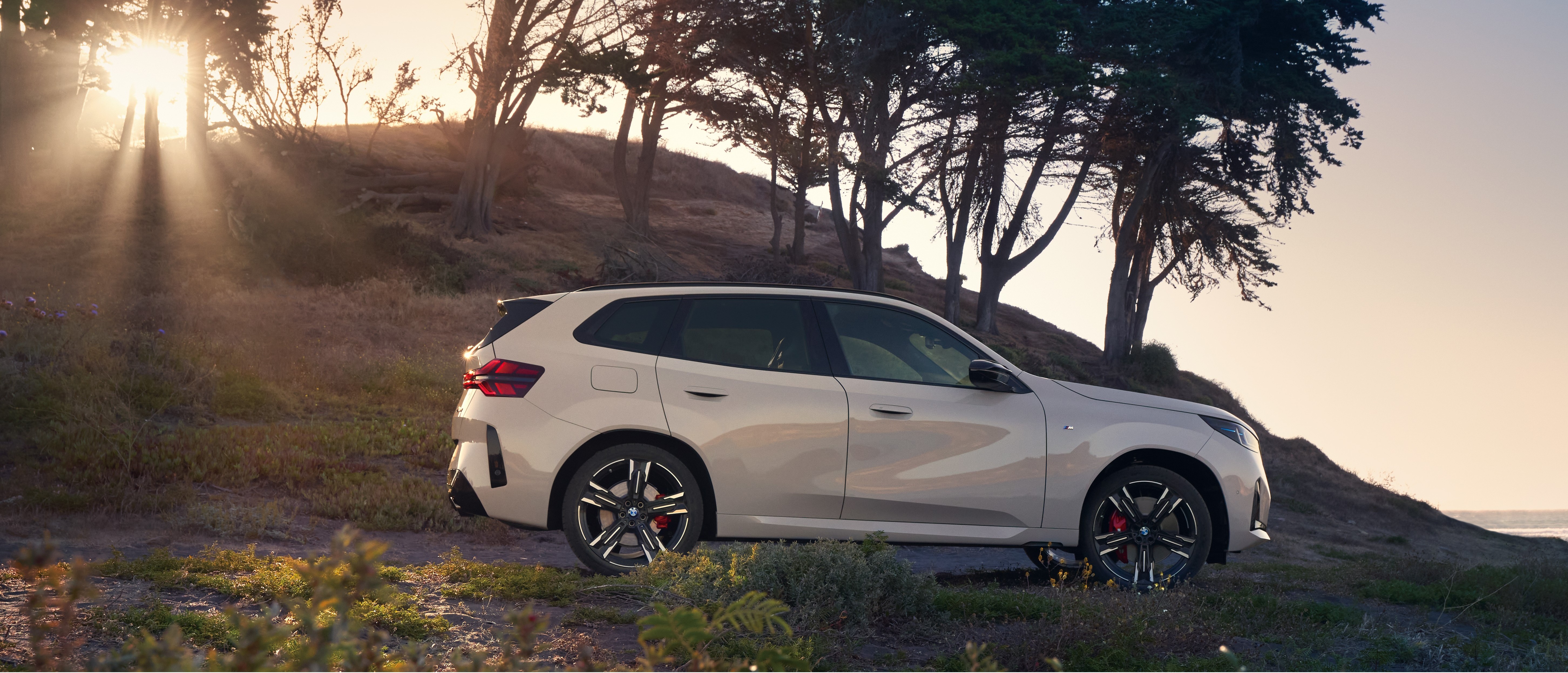 専門国家資格取得者の皆様へ